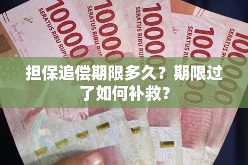 济南担保追偿期限多久？期限过了如何补救？