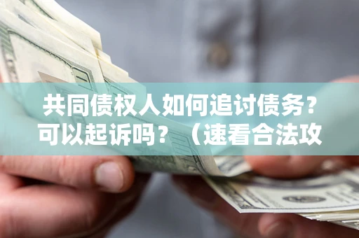 济南共同债权人如何追讨债务？可以起诉吗？（速看合法攻略）